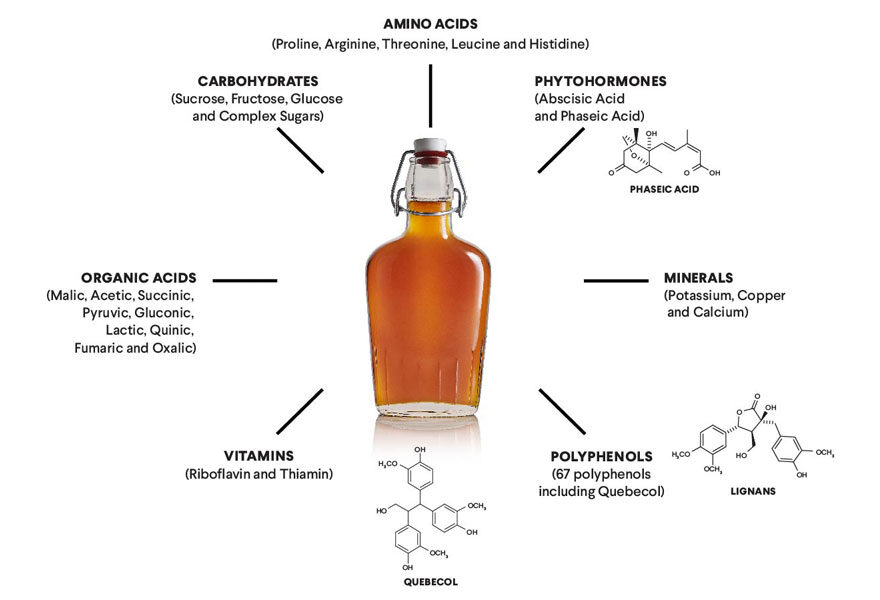 Nutrition Facts And Benefits Of Maple Syrup Maple From Canada   Diagramme Valeurs Nutritives 880x600 EN 880x600 